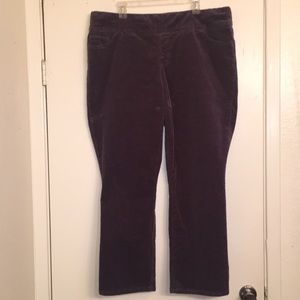 Denim & Co Purple Corduroy Pants